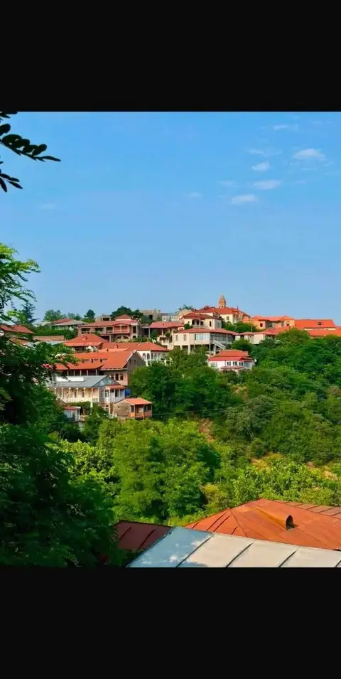 Land plot, Sighnaghi
