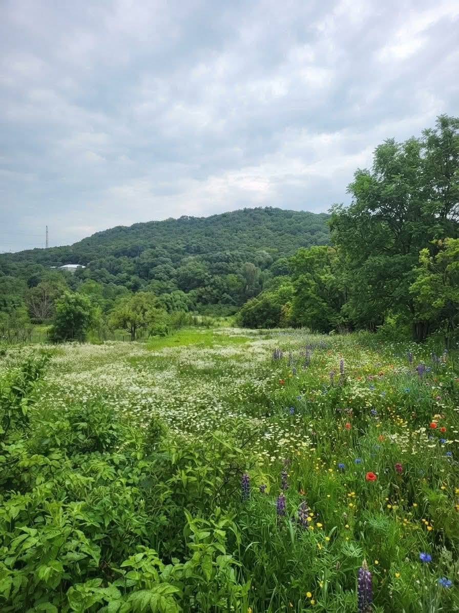 1000 sq m land plot, Ujarma