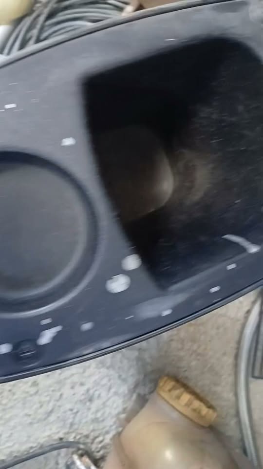 Vectar 1997, 2t, lab cheap