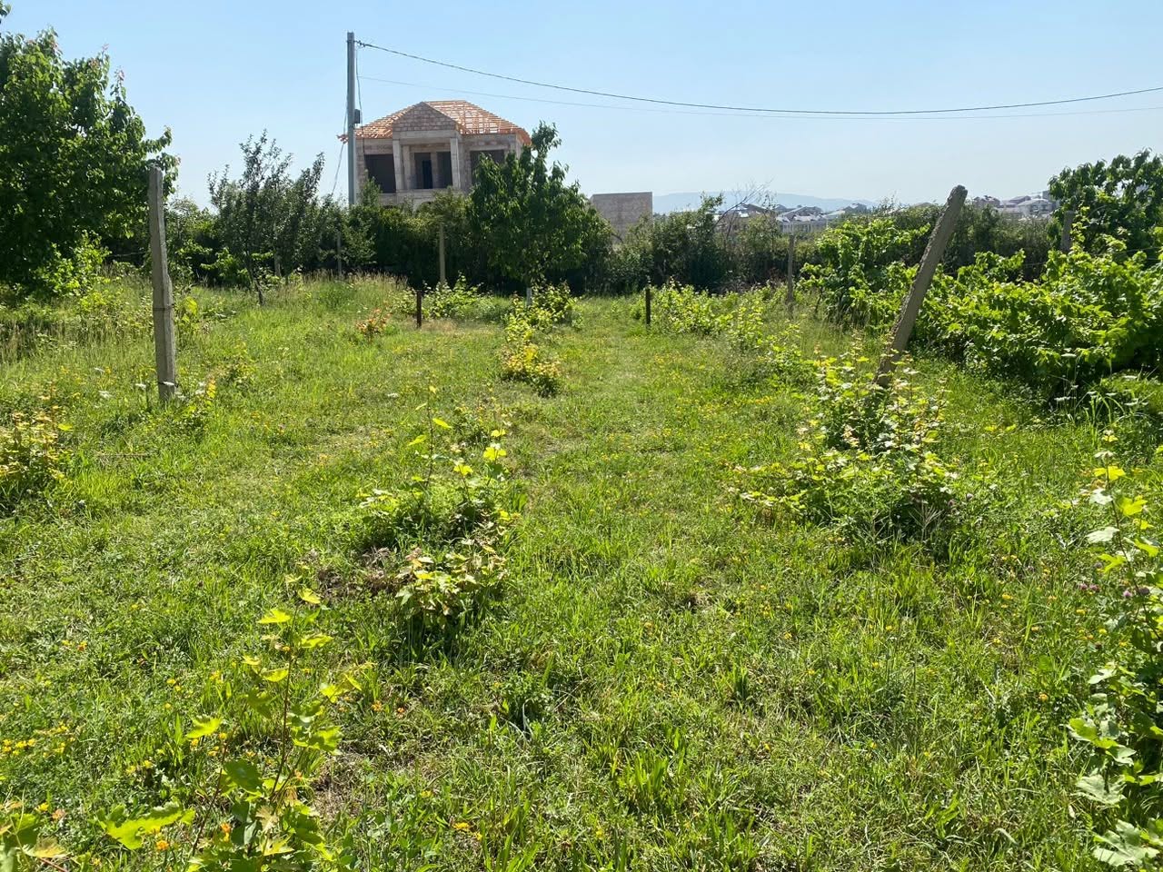 Torpaq — 36,000 դոլլար