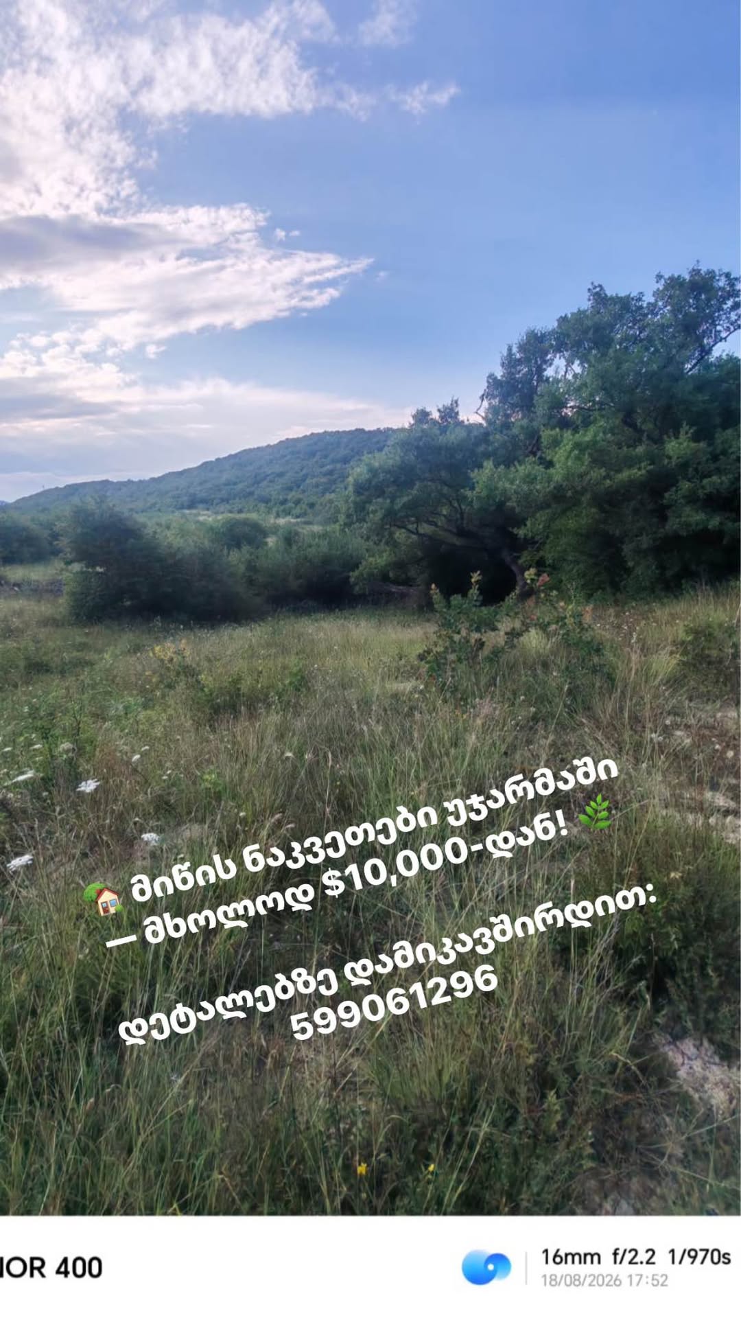 🏡 მიწის ნაკვეთები უჯარმაში — მხოლოდ — 10,000$