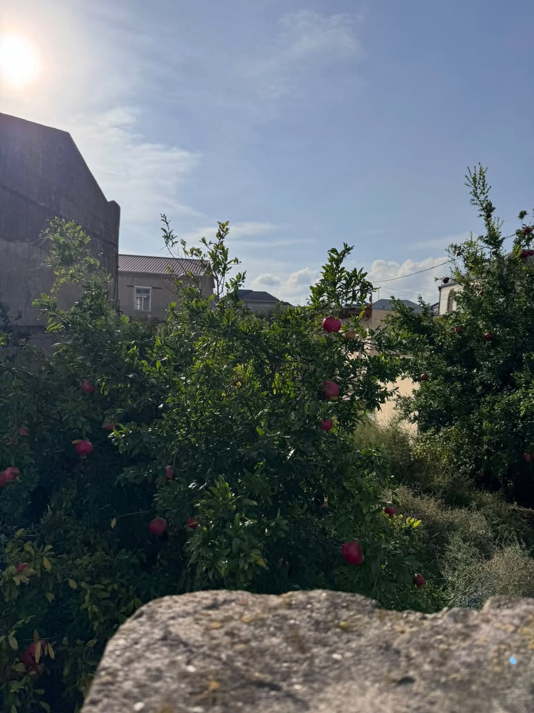 Torpaq area, Baku — $175,000