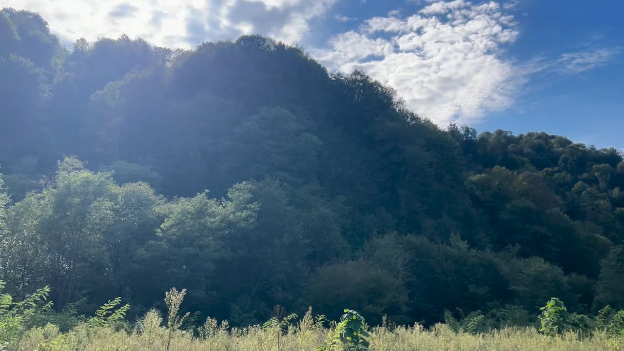🏞⁠💎 1 GA çayı Bzhuzha yanında — 15$