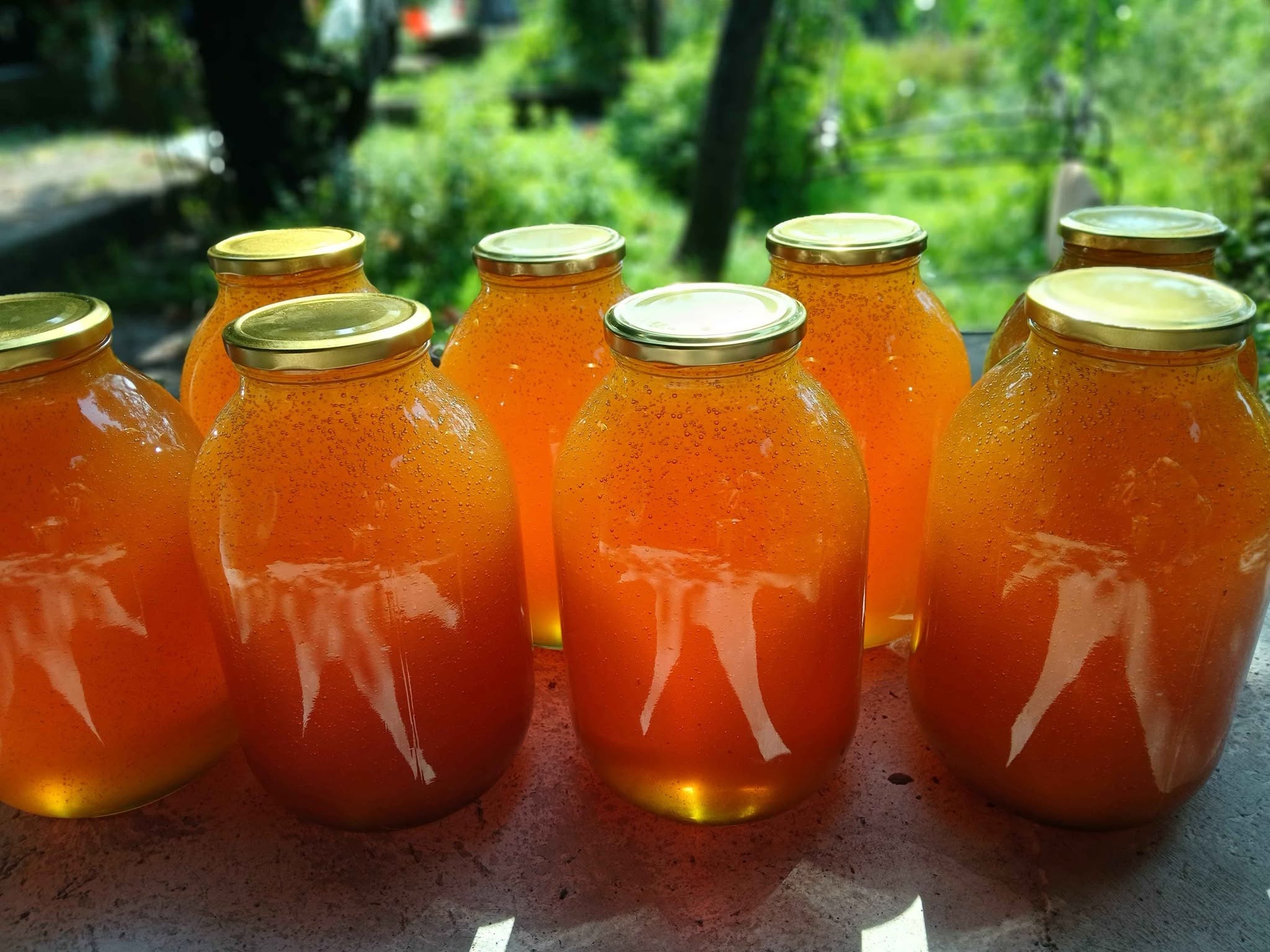 Linden and oak honey, min 30 kg