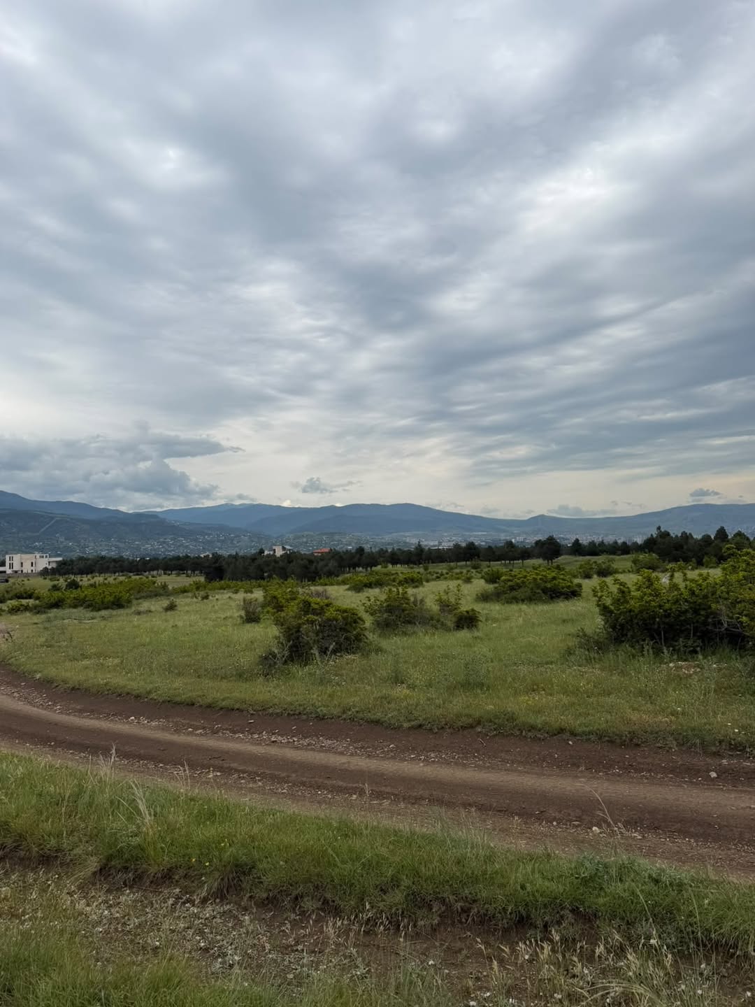 Land plot, Gardabani — 311,800 ₾