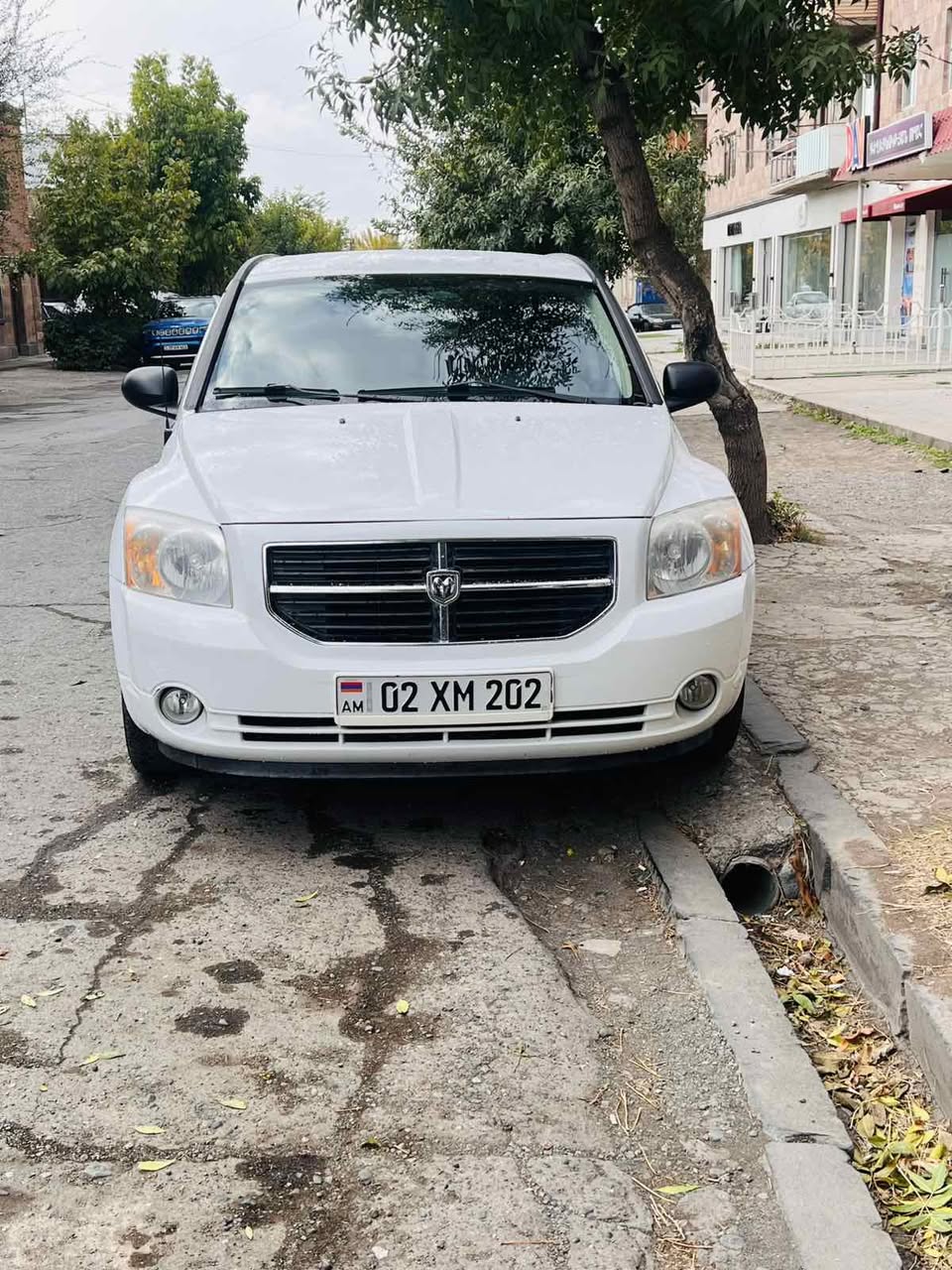 Dodge Caliber 2010