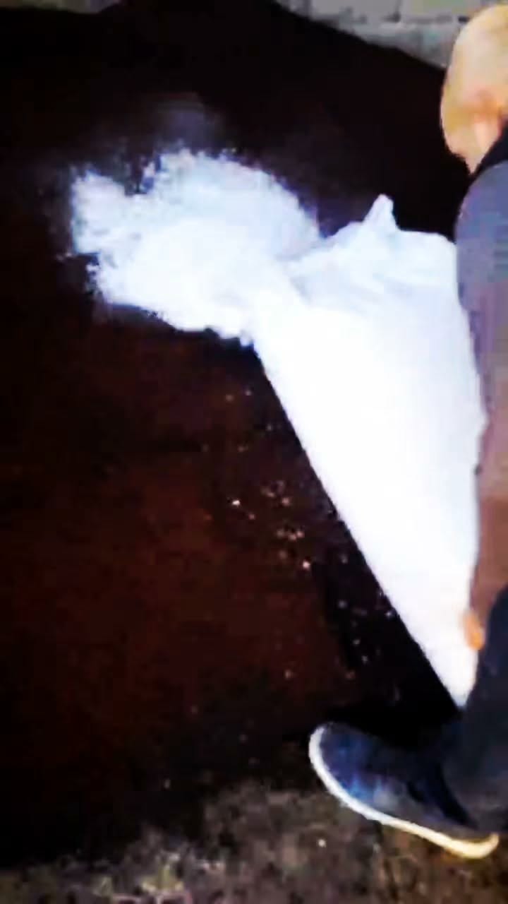 Torf, perlit, yanmış qum, torpaq, kokos - 20₾