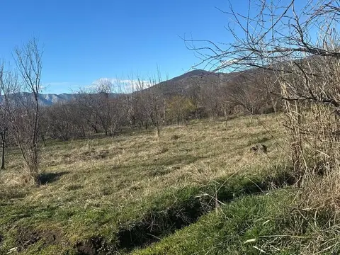 Torpaq