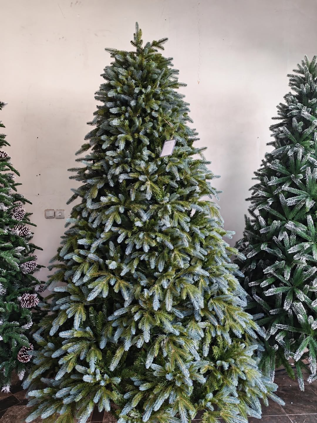 🎄 Yoğun yeşil Noel ağaçları beyaz uçlarla