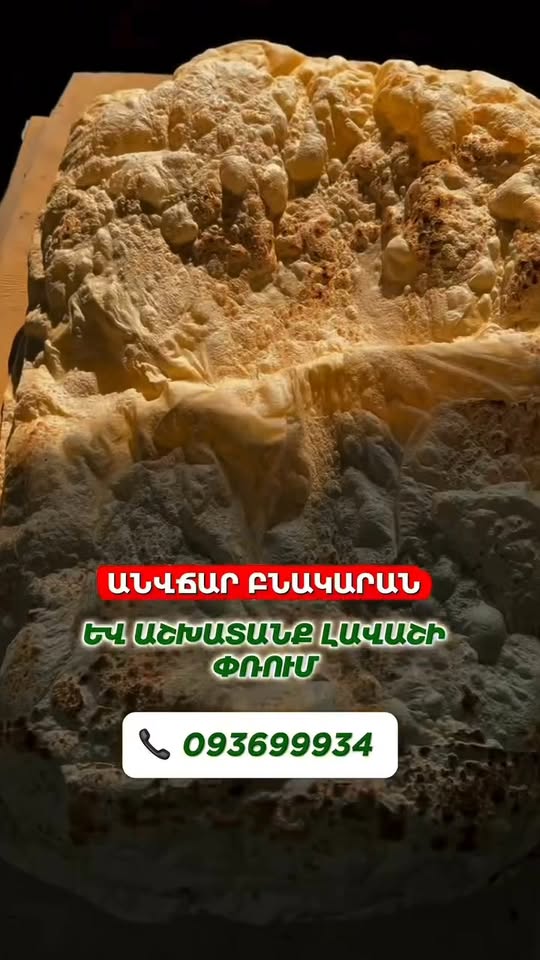 @everyone 🔴 ƏMƏK AXTARANLARIN DIQQƏTINƏ 📍 — 100,000֏