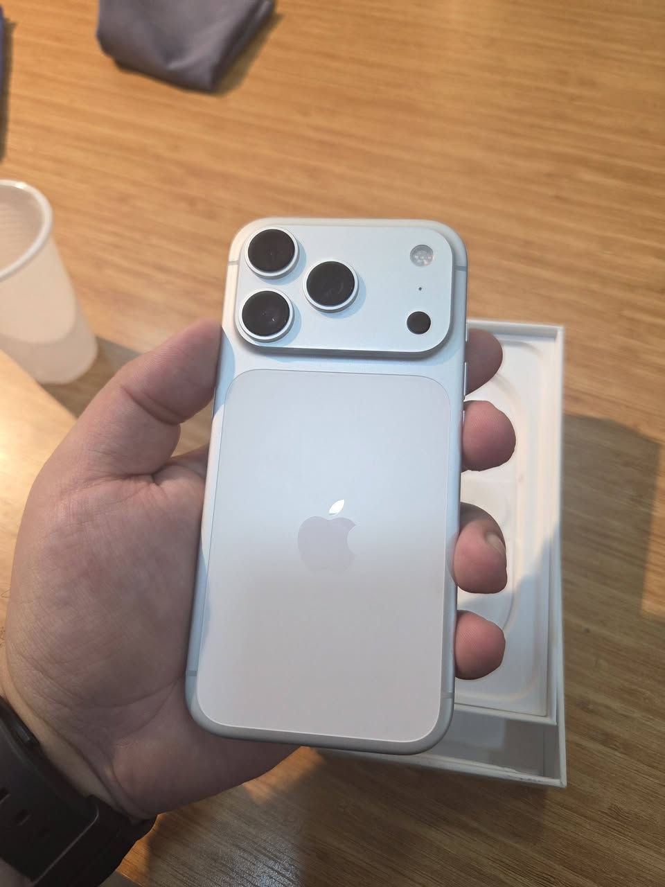 17 pro 256gb 100% 9 cycle