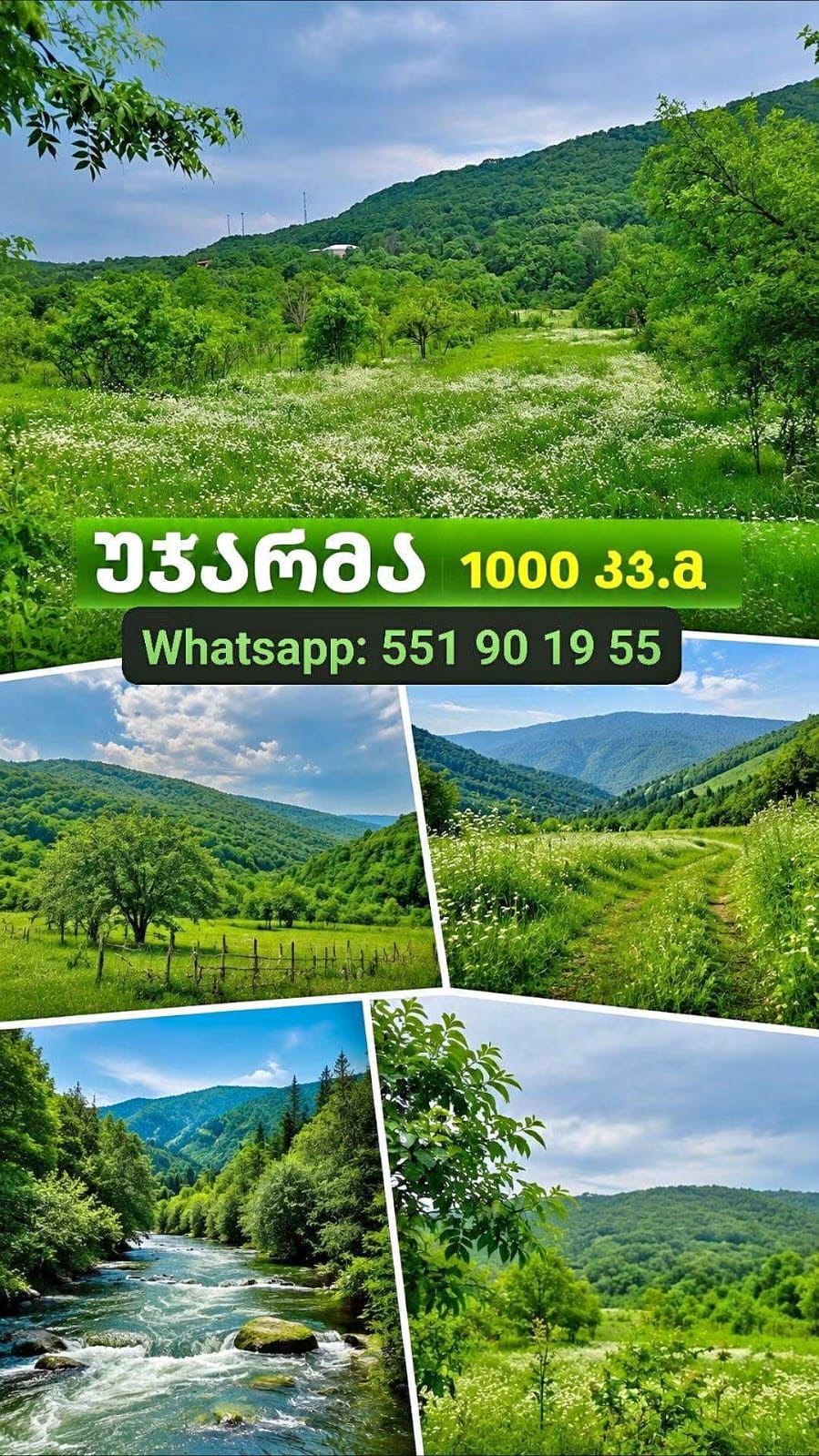 Участок земли, Тбилиси