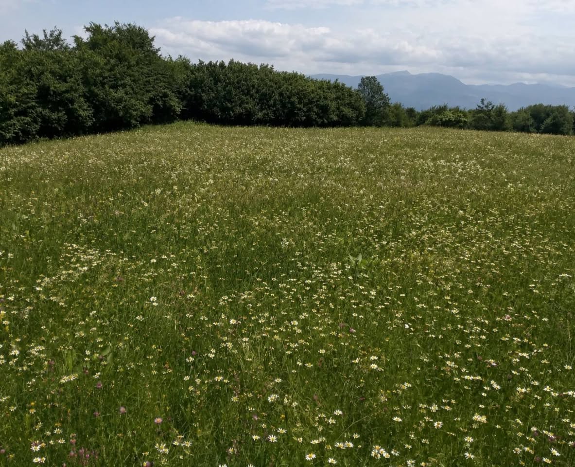 Land for sale, Ejeghan - 13,000,000 dram