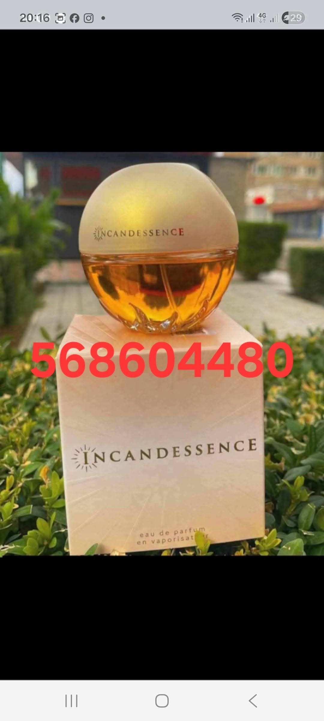Incandessence პარფიუმი