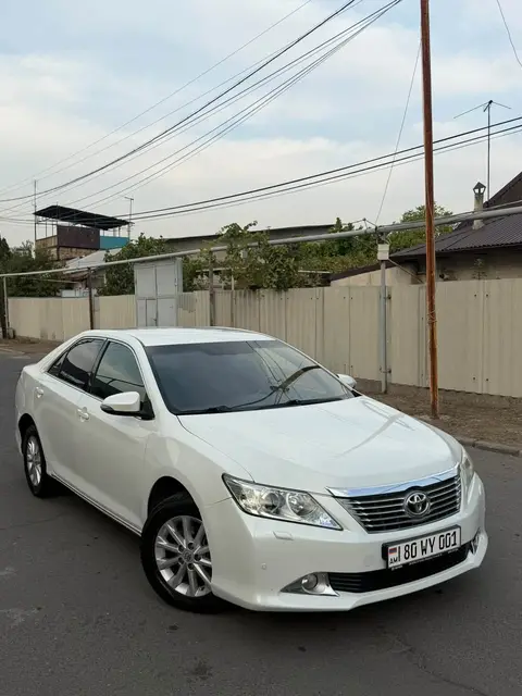 Tiv Erevani Japonakanna 2012 — 15,000$