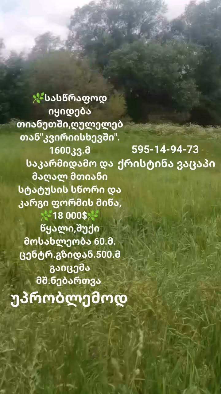 Продаётся срочно в Квриышеве 1600 кв. 18 000 $.