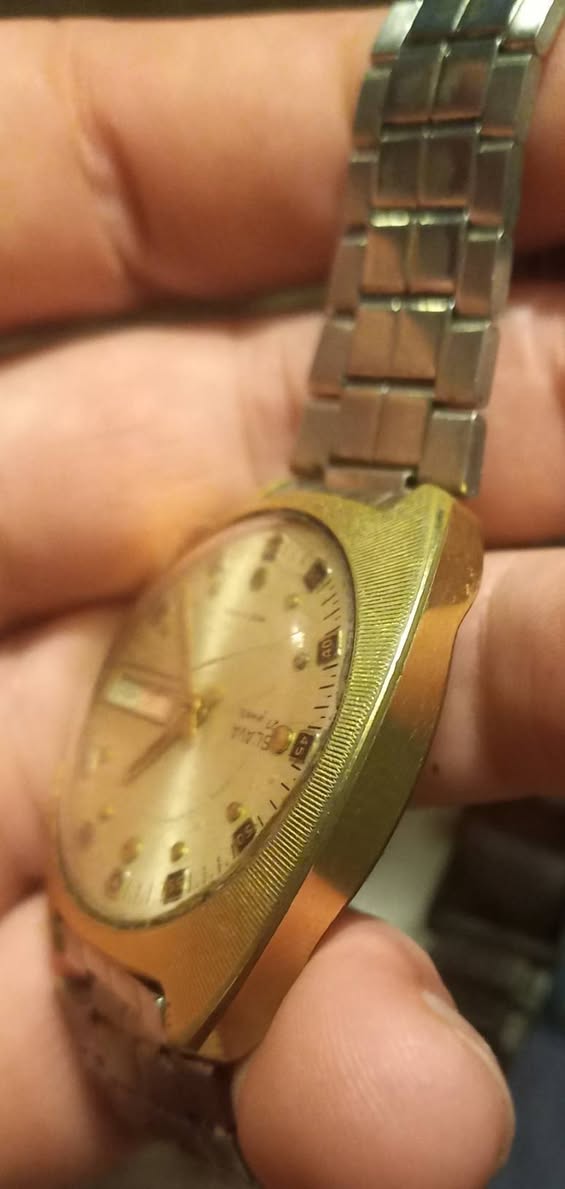 How much did you pay for the golden Slavas watch?