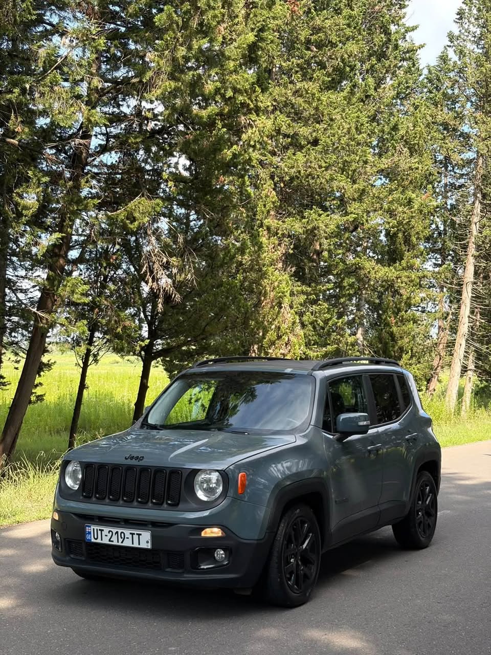 Jeep Renegade 2017