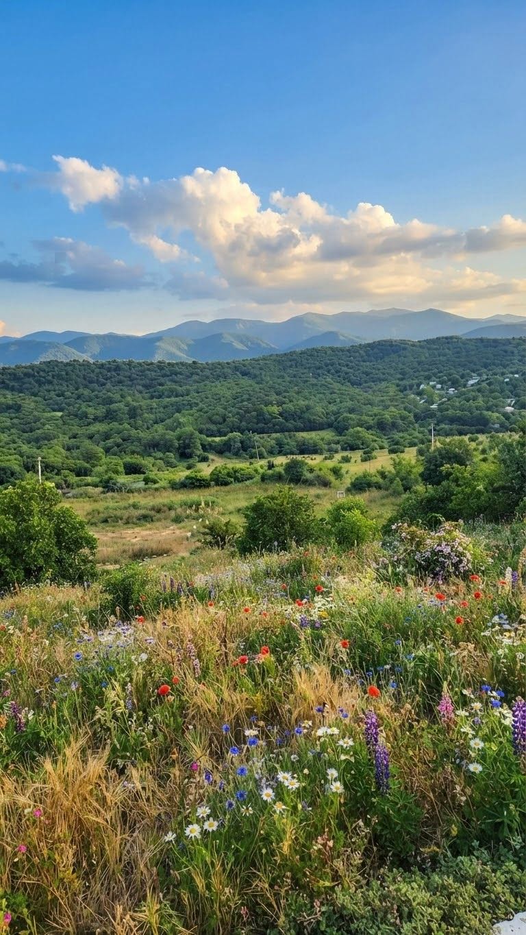 Ucarmaşda villa tikəcəyik! ✨ 480 kv.m