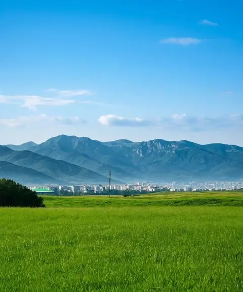 Arazi, Tiflis