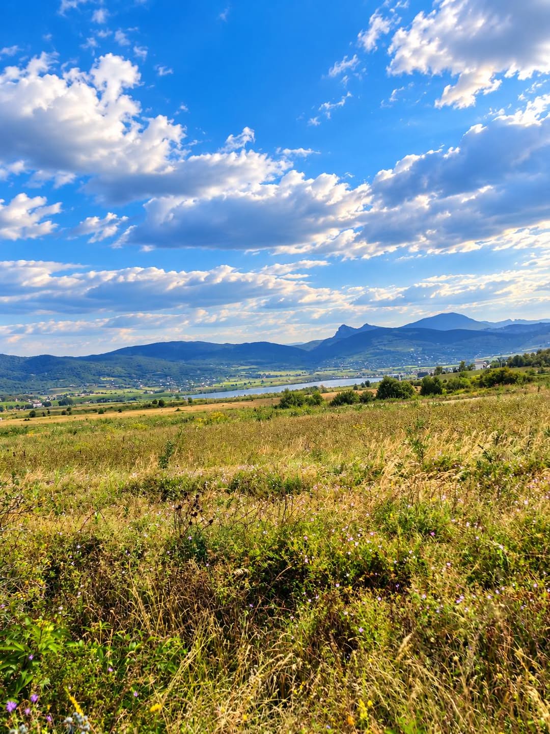 Land plots for sale in Bazaleti, near the lake 1996 — 15$