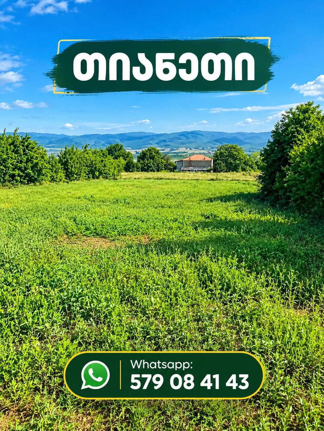 Torpaq sahəsi, Tianeti — $12,500