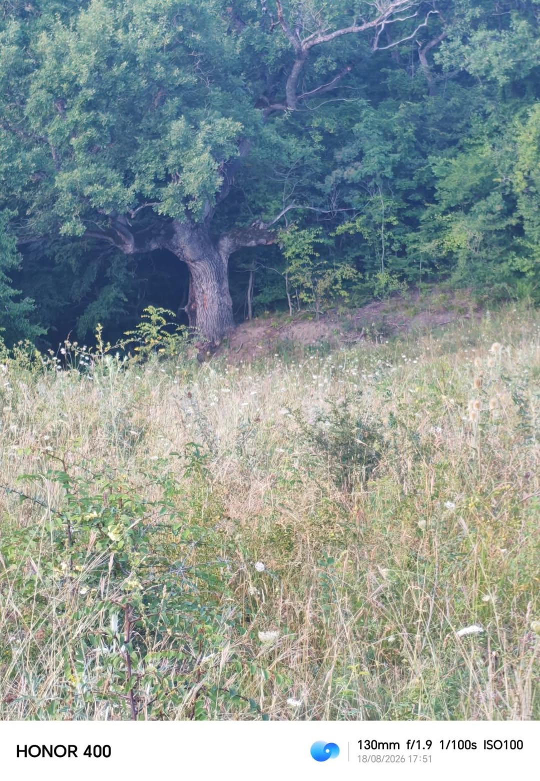 Land plot, Tbilisi