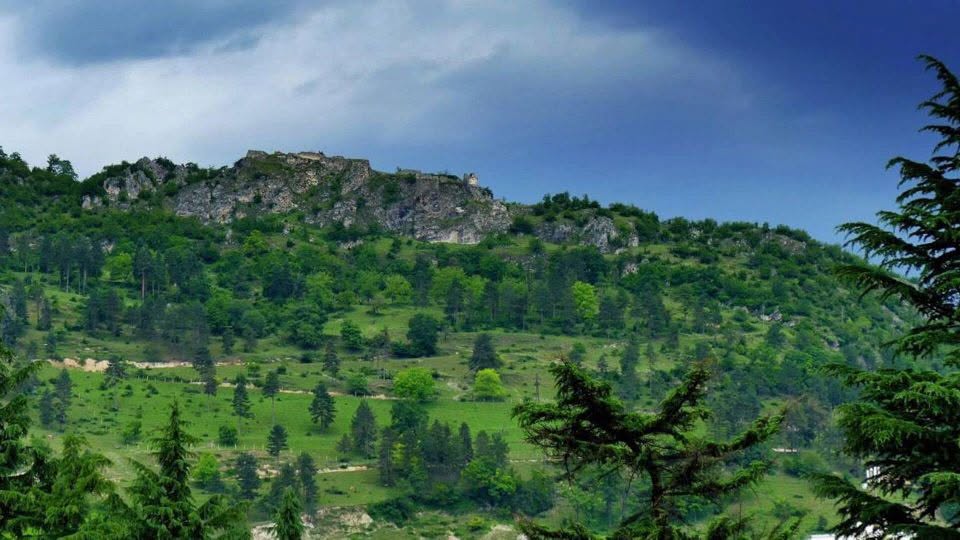 Çolikauri üzümü satılır. Miktar 2 ton