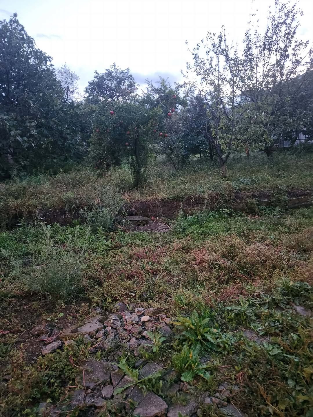 Torpaq sahəsi, Tbilisi — $300