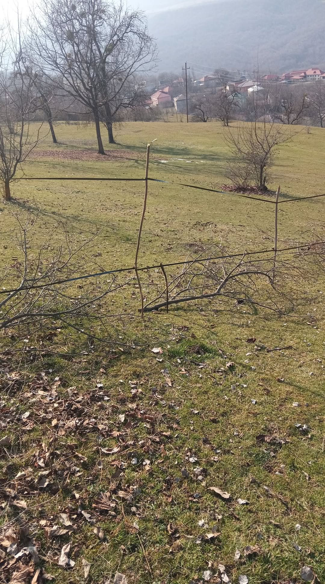 Land area, Quba — 15,000 ₼