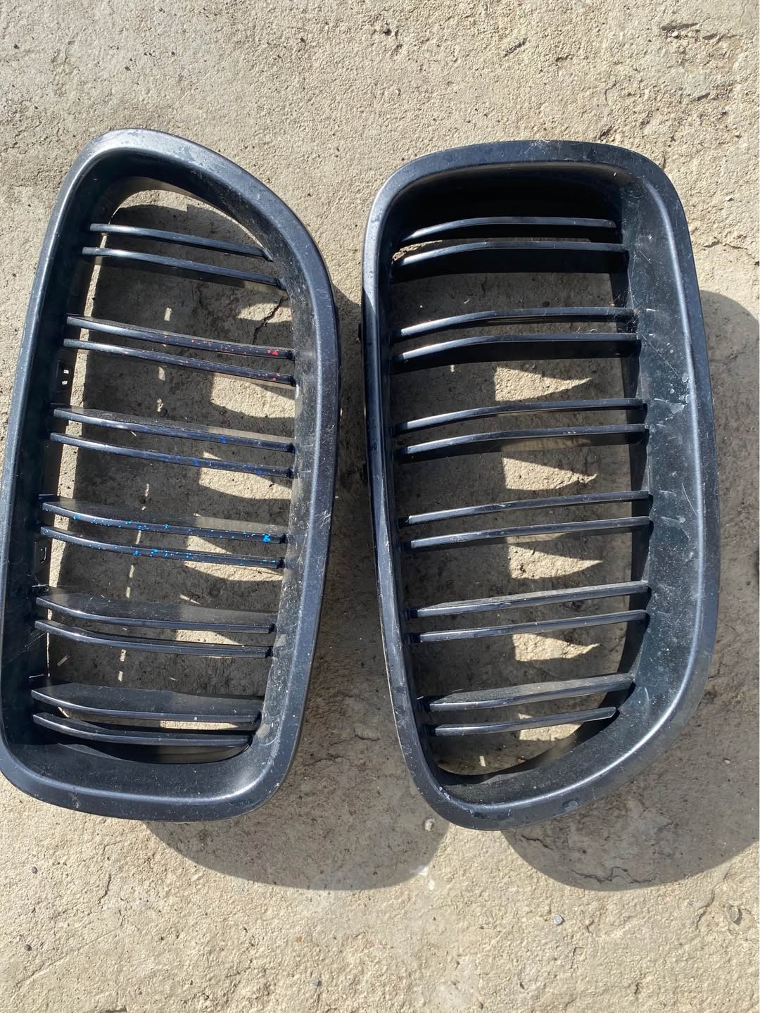 Qara ön barmaqlıq (grill), cüt
