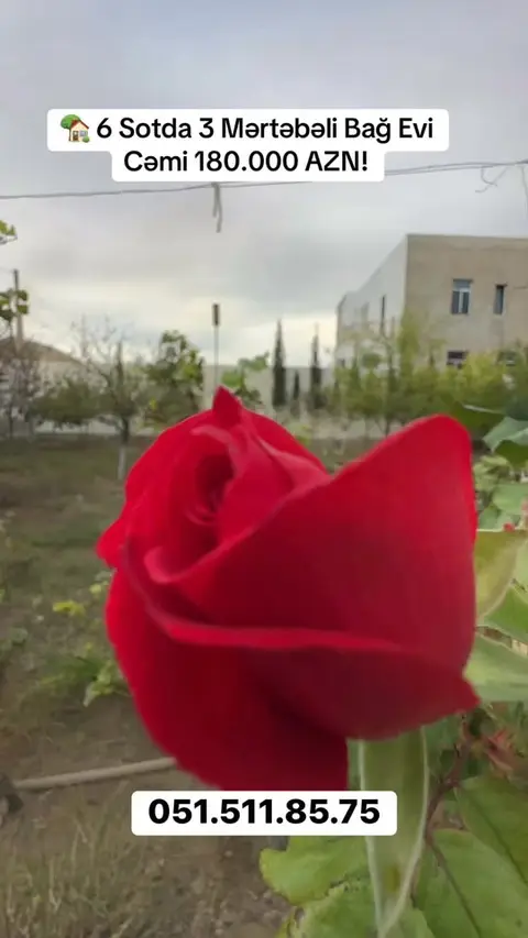 Həyət evi, Bakı