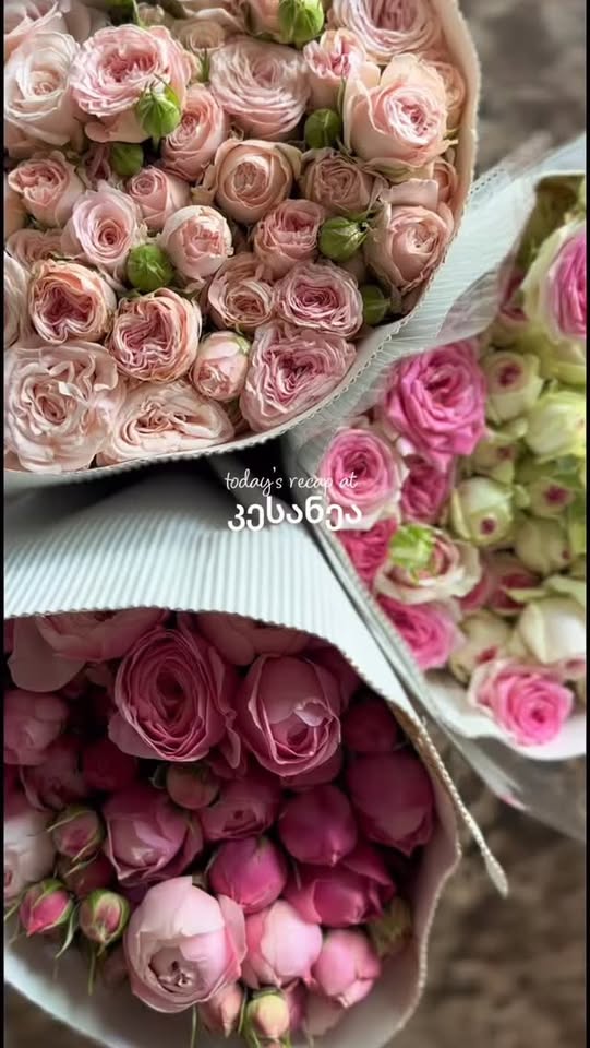 💐 #Քսանեա #ծաղիկներ #Թայգուլ #ԳունավորԹայգուլներ #ծաղիկներիՍիղնաղում