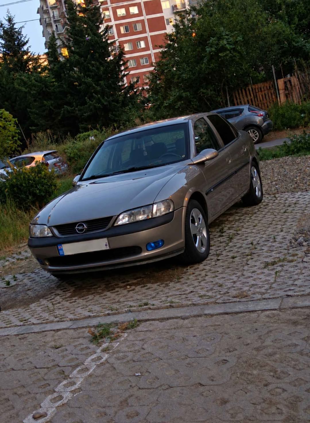 Opel Vectra B 1996, 2.0 ECOTEC