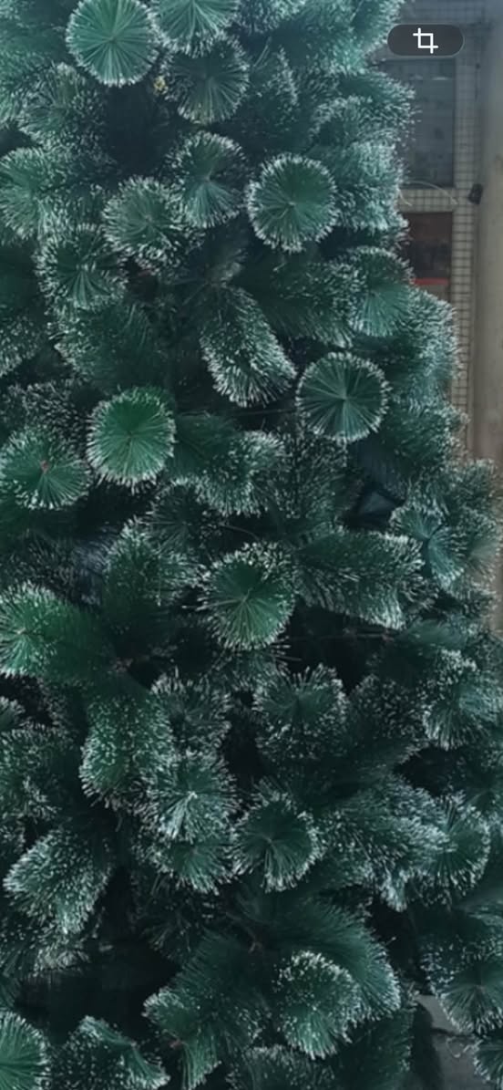 For sale Christmas tree 240cm. Located in