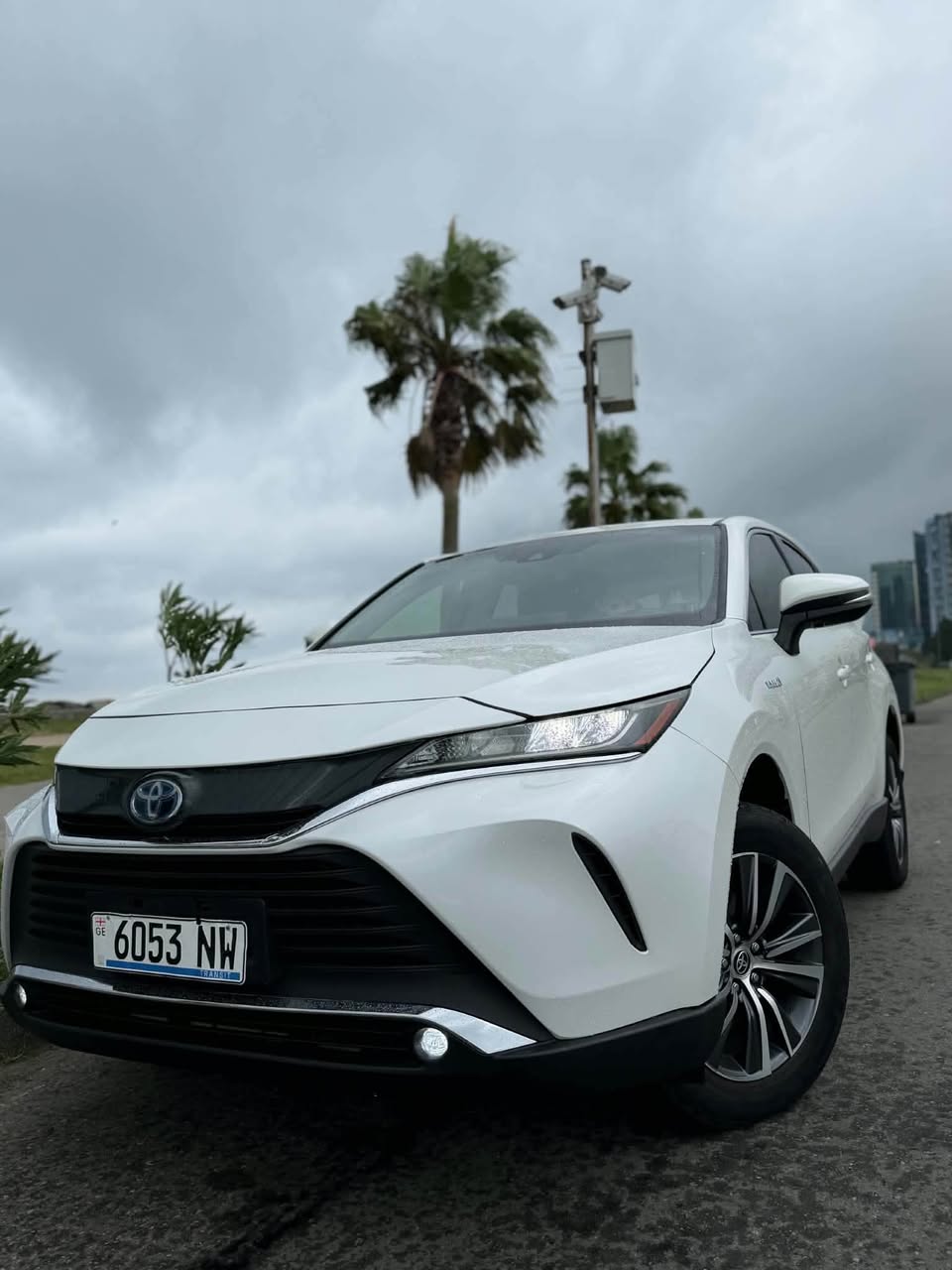 Toyota Venza 2020