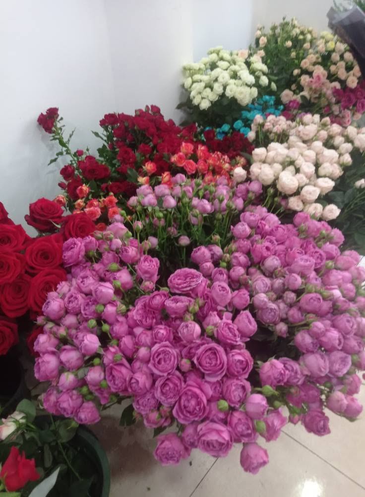 Aksiya Spray güllər 4 lari. Avtomobilçinin 31-ci mağazası Şorəninə yaxın