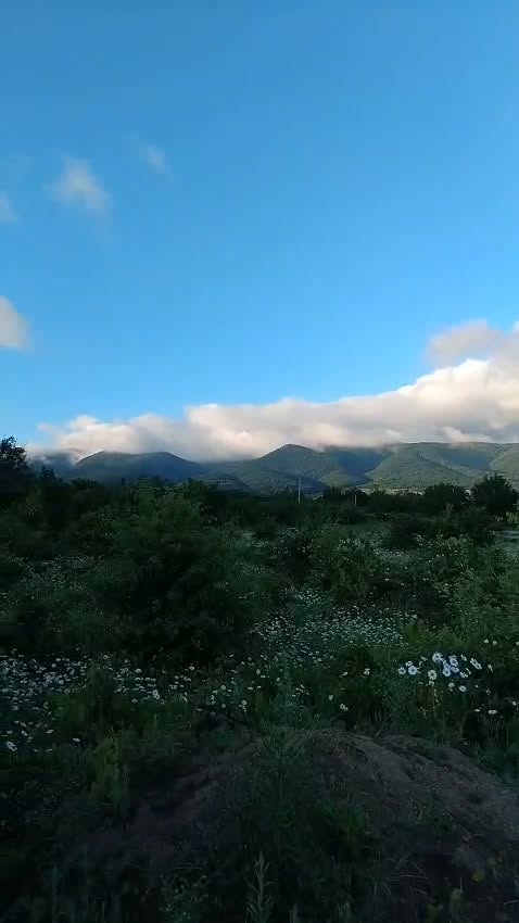 Torpaq sahəsi rabitə ilə, Zakaro