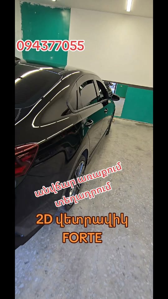 Վետրավիկ 2D
