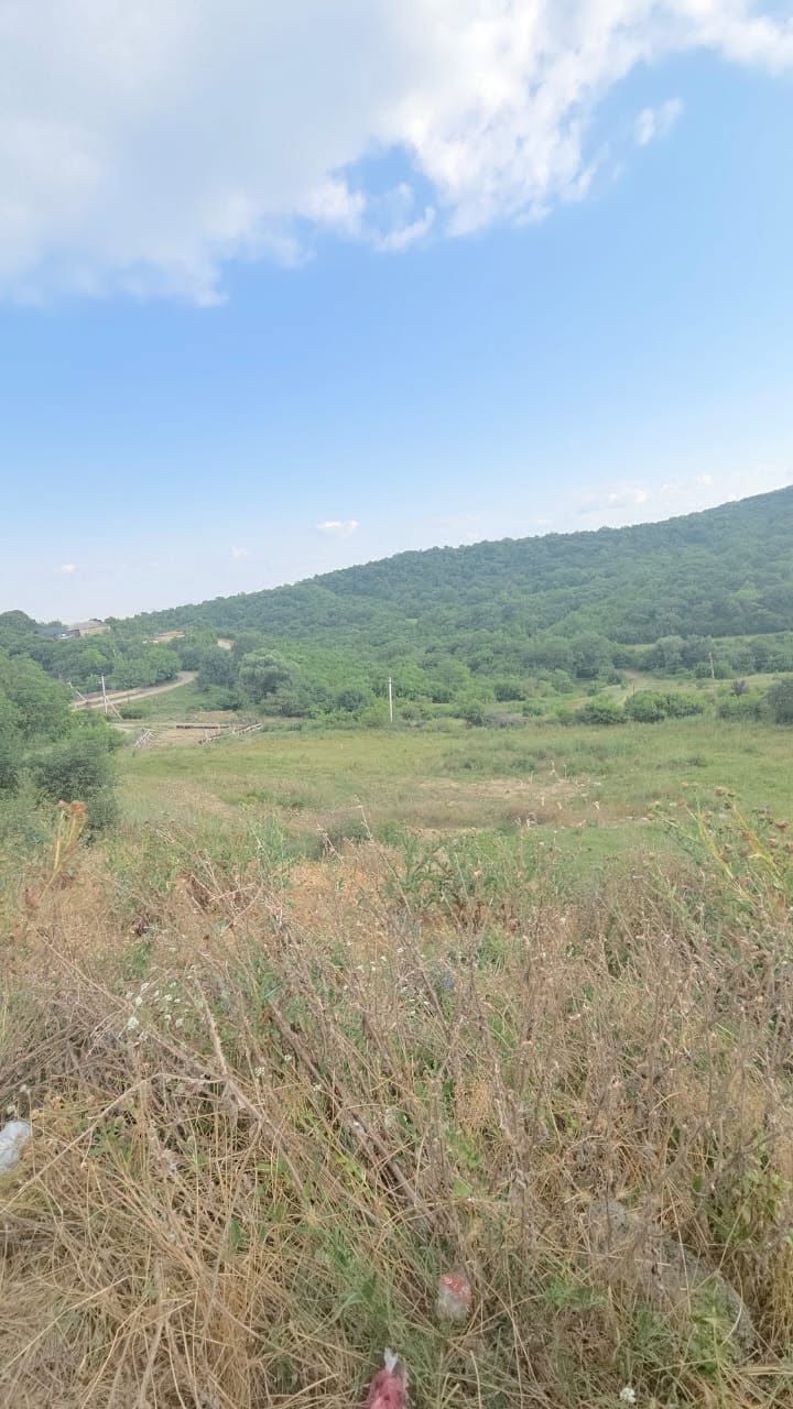 მიწა