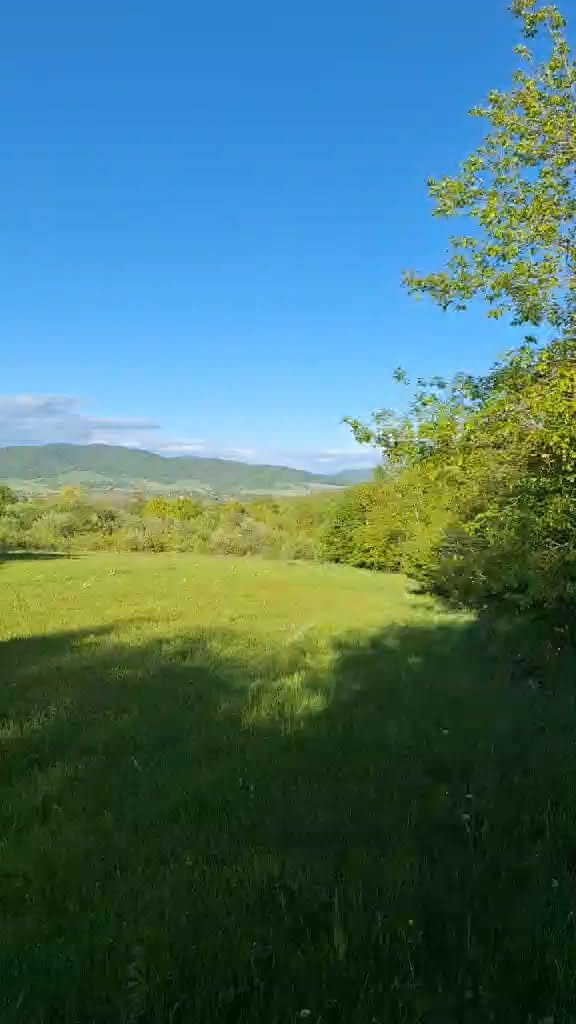 მიწის ნაკვეთი, თიანეთი — $45,000