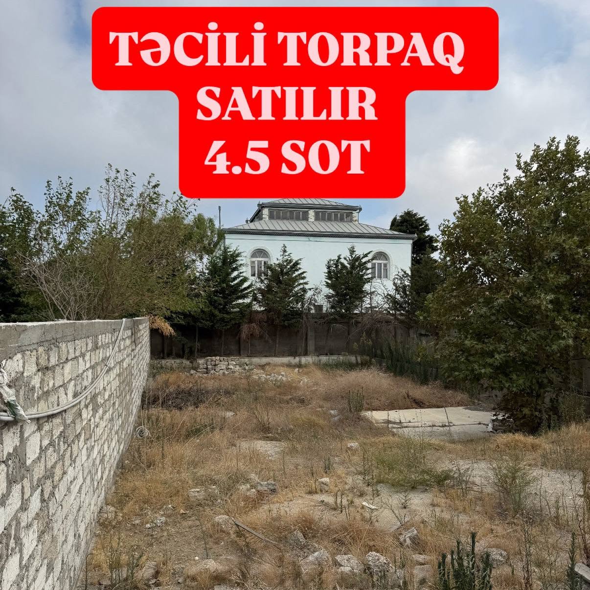Торпаг саhəси, Бакы