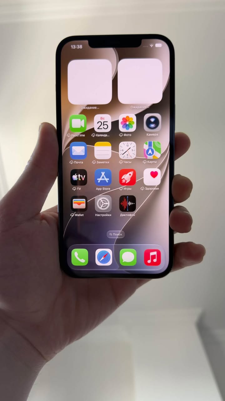 iPhone 12 Pro Max 256GB