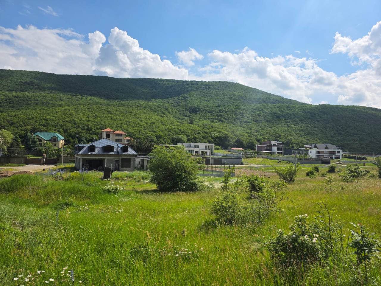 Torpaq