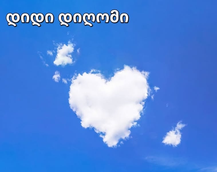 ჭადრაკის სკოლა დიდ დიღომში