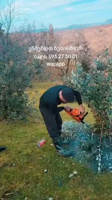 Ցանկացած այգու մաքրում
