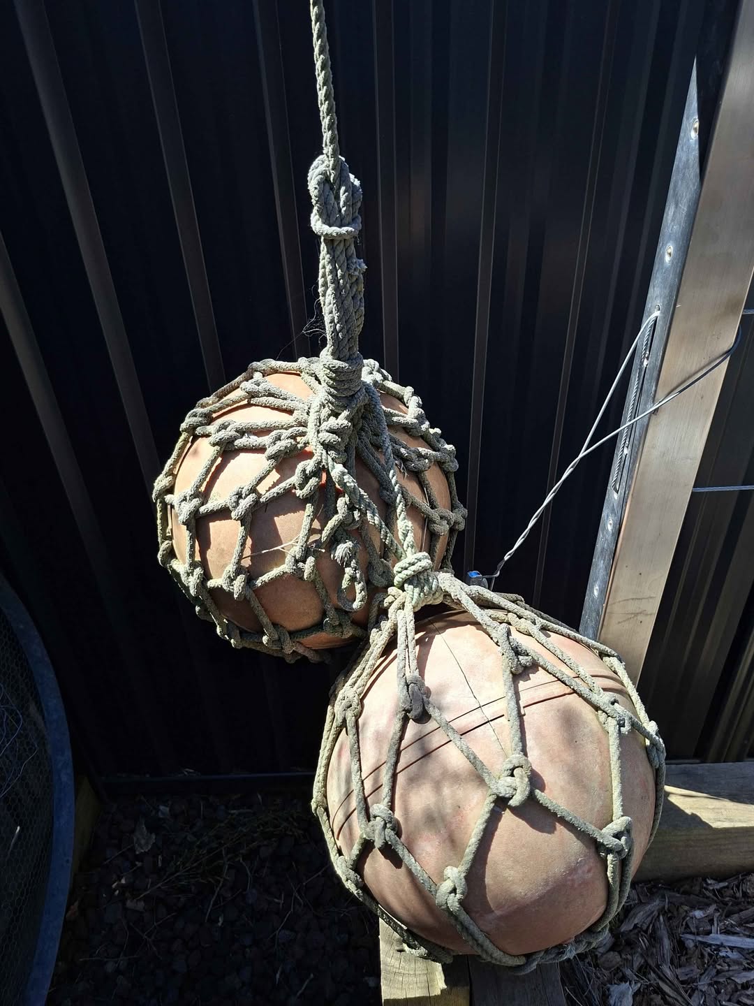 Старинный японский шар плавает в веревочной сети