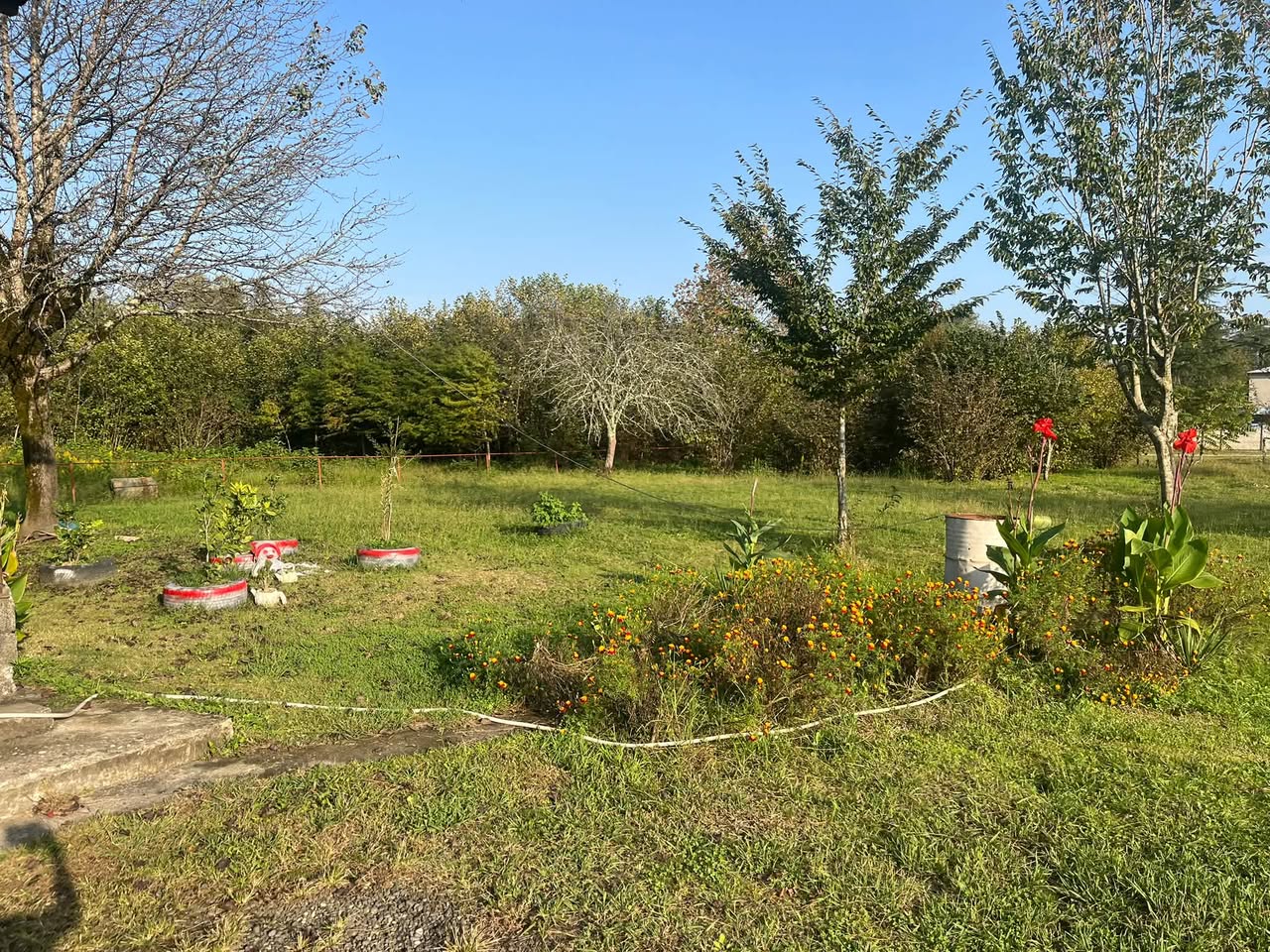 Ev, Martvili — $28,000