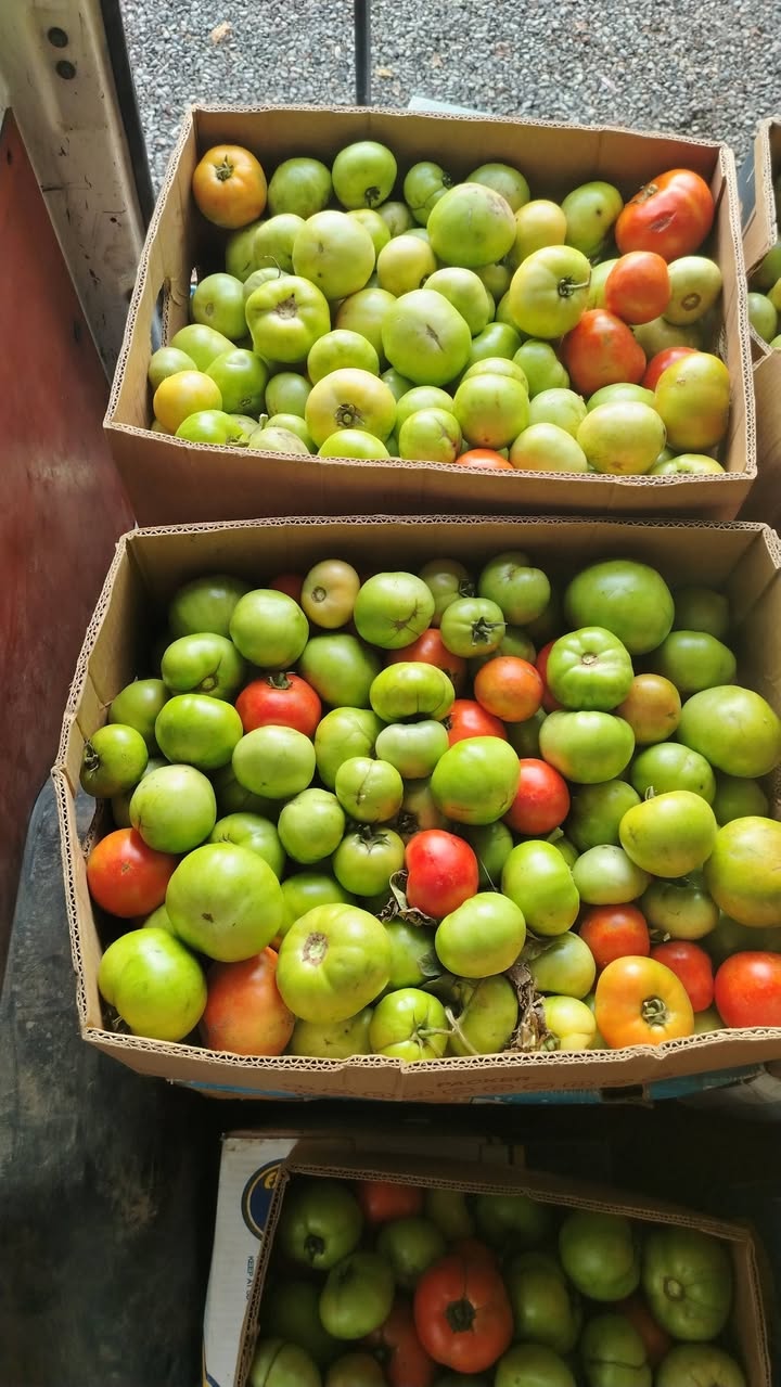 🍅 Kızartılmış patlıcan - 1.30 ₾