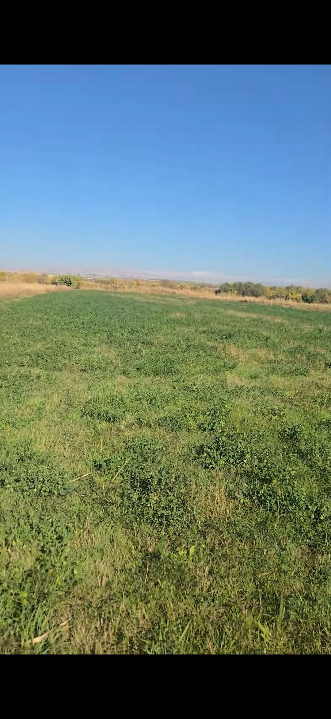 Torpaq sahəsi, İrəvan — 330 ֏